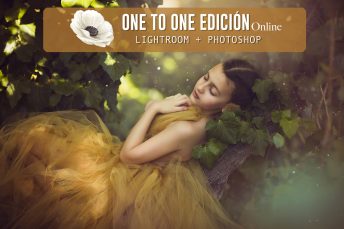 One to One de Edición Online para Lightroom y Photoshop